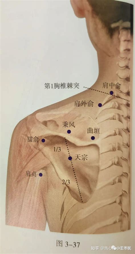 陽西穴